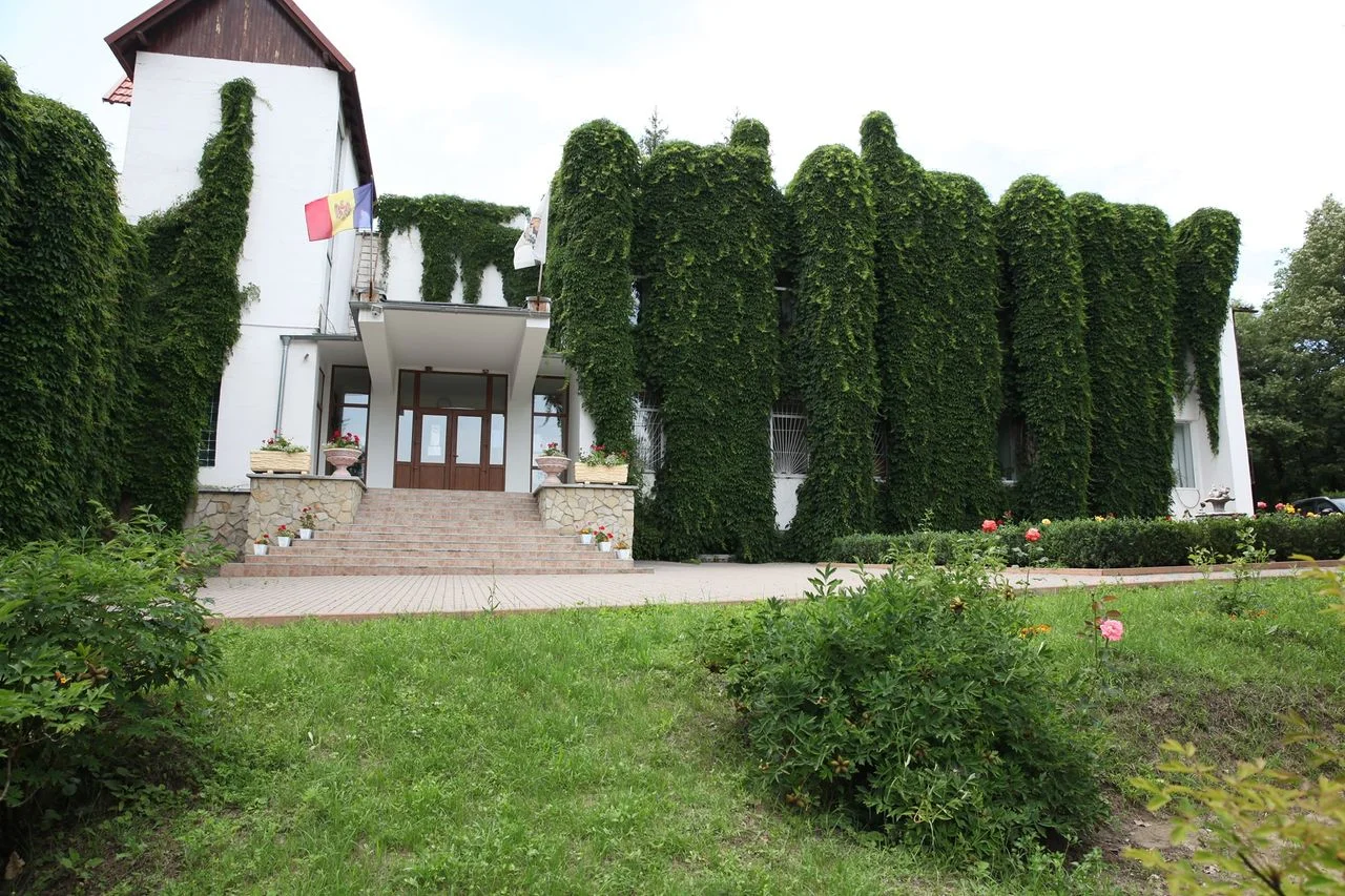 Muzeul Rezervației naturale „Codrii”